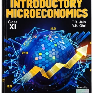 Introductory Microeconomics XI