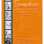Snapshots – English Supplementary XI