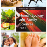 Human Ecology and Family Sciences Part I Class XI book cover