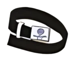 school-belt