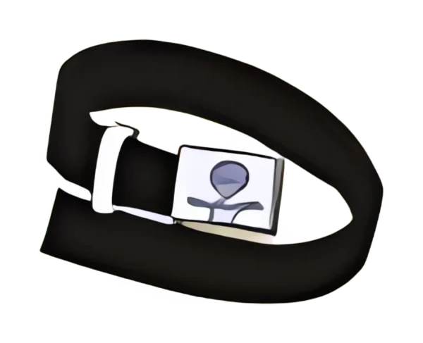 school-belt