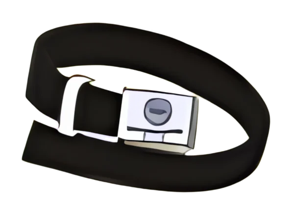 school-belt