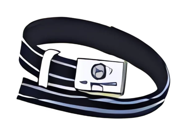 school-belt